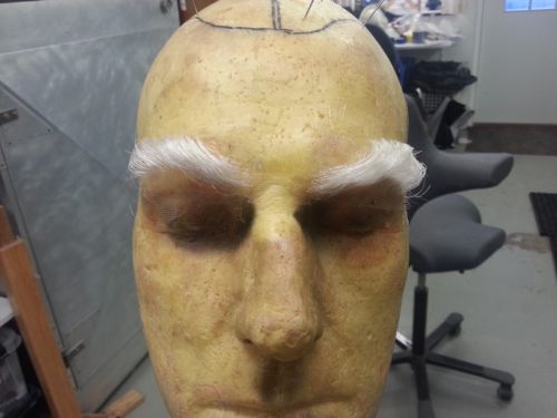 Eyebrows, White buffalo hair